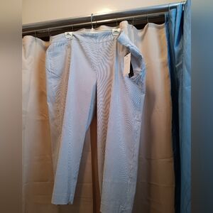 Women's Blue Striped Pants